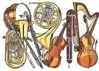 Percussion Fee