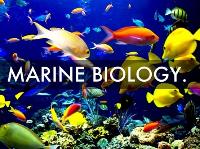 Marine Biology Camp Summer 2026