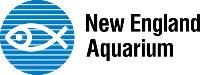 10th Grade Class Trip to the New England Aquarium and Quincy Market