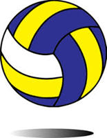 Boys Volleyball Donation