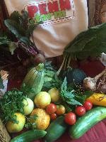 Penn Farm - CSA Share