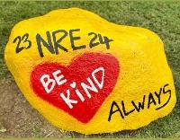 NRE Paint the Pride Rock