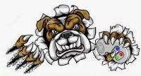 GamingDogs Dues 2022-2023