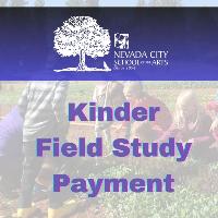 Kinder Field Study Payment