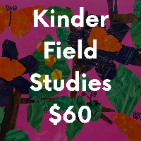 Kinder Field Study Payment