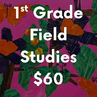 1st Grade Field Study Payment