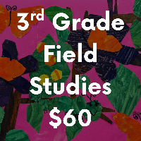 3rd Grade Field Study Payment