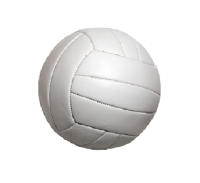 BHS GIRLS VOLLEYBALL-Tax Credit