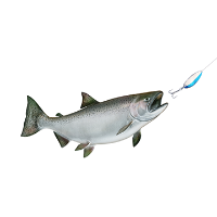 LHS Fishing Tournament Registration (TE)