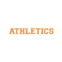 Athletic Sponsorship and Advertising - Triple Item Purchase