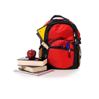 In District Boise Evening School (BSD Student)