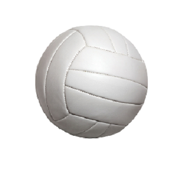 Lady Trojans Volleyball Mini Camp