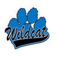 The Wildcat Spirit Store